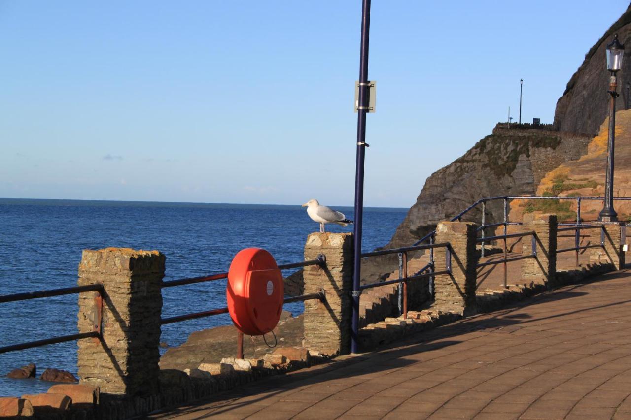 Bed and Breakfast The Olive Branch Ilfracombe Exteriér fotografie