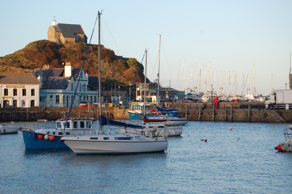 Bed and Breakfast The Olive Branch Ilfracombe Exteriér fotografie